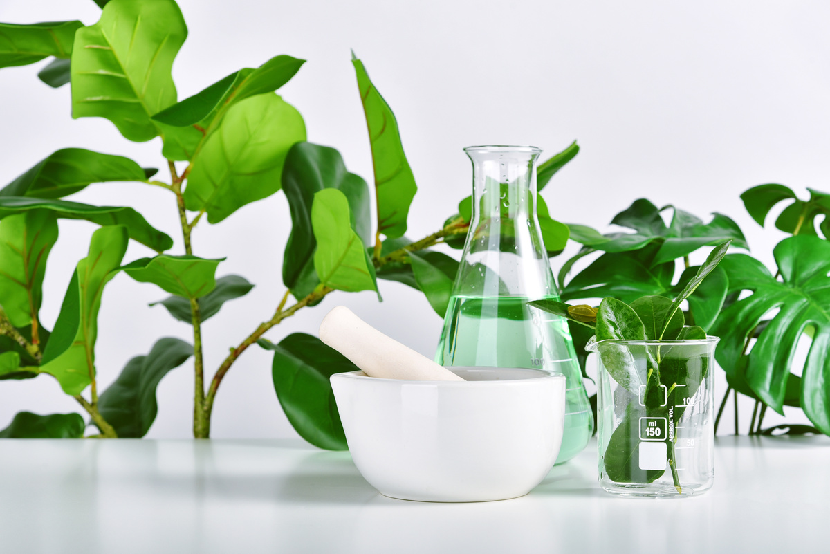 Plant Extraction in Scientific Glassware